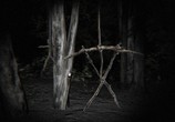 Фильм Ведьма из Блэр: Новая глава / Blair Witch (2016) - cцена 3