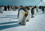Сцена из фильма BBC. Земля: Взгляд из космоса / Earth from space (2019) BBC. Земля: Взгляд из космоса сцена 2