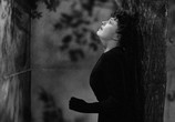 Фильм Человек-леопард / The Leopard Man (1943) - cцена 8