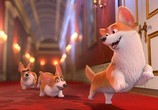 Мультфильм Королевский корги / The Queen's Corgi (2019) - cцена 2