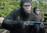 Фильм Планета обезьян: Революция / Dawn of the Planet of the Apes (2014) - cцена 6