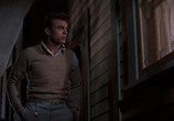 Фильм К востоку от рая / East of Eden (1955) - cцена 6
