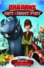 Как приручить дракона: Дар ночной фурии / Dragons: Gift of the Night Fury (2011)