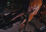 ТВ Динозавры живы! / Dinosaurs Alive! (2009) - cцена 1
