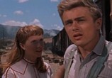 Фильм К востоку от рая / East of Eden (1955) - cцена 4