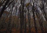 Фильм Гретель и Гензель / Gretel & Hansel (2020) - cцена 2