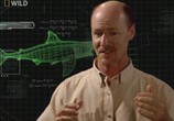 ТВ National Geographic: Суперхищники : Большая белая акула / I,Predator : Great white shark (2010) - cцена 2