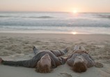 Фильм Романтики «303» / 303 (2019) - cцена 2